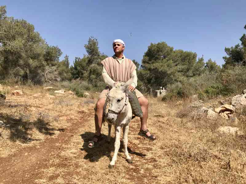 Kfar Kedem Donkey Ride