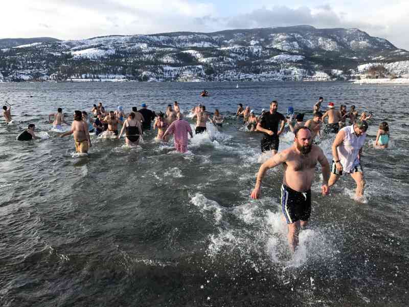 Polar Bear Dip