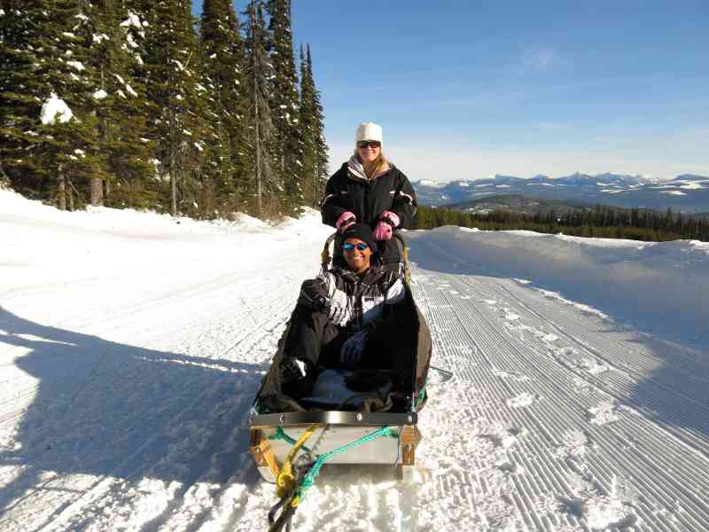 Dog Sledding