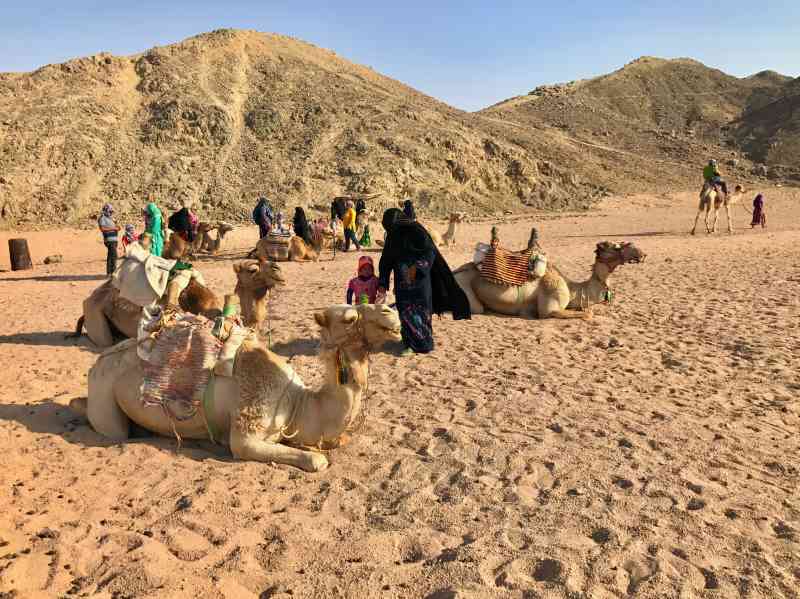 Sahara Hurghada 4x4 Trip