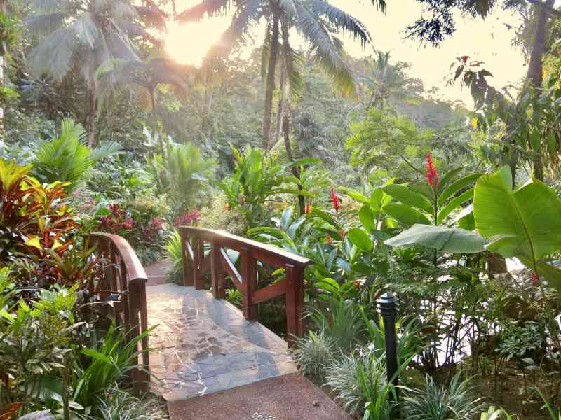 Tabacon Grand Spa Thermal Resort