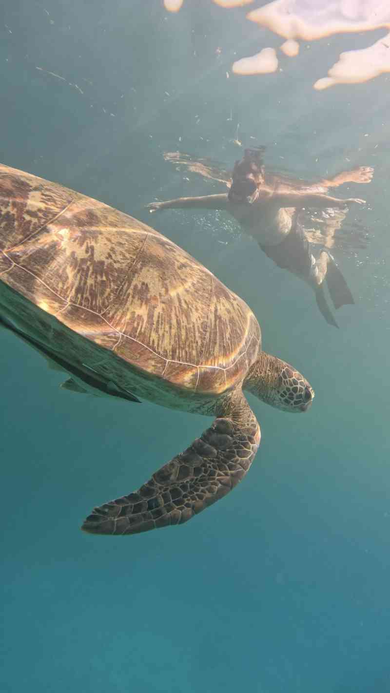 Tulapos Marine Sanctuary-Capture