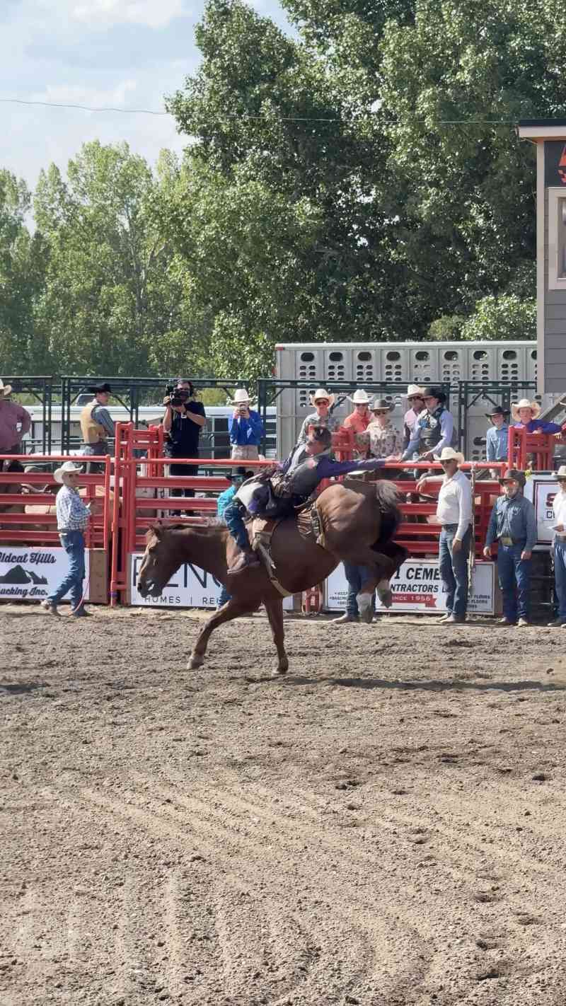 Lion's Rodeo Cochrane