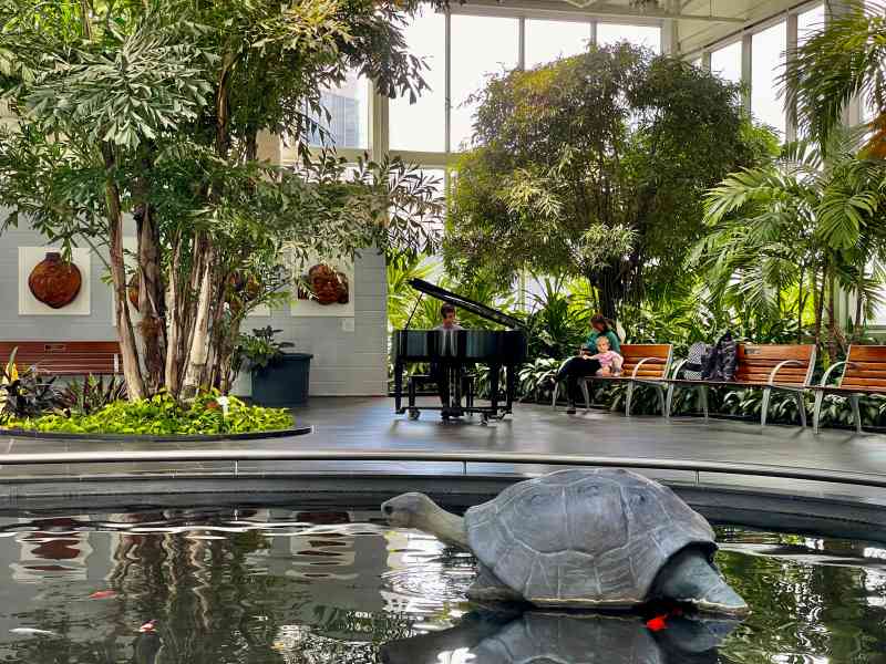 Devonian Gardens