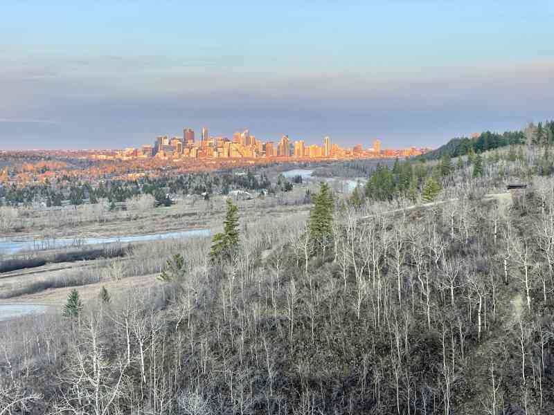 Edworthy Dog Park Lookout