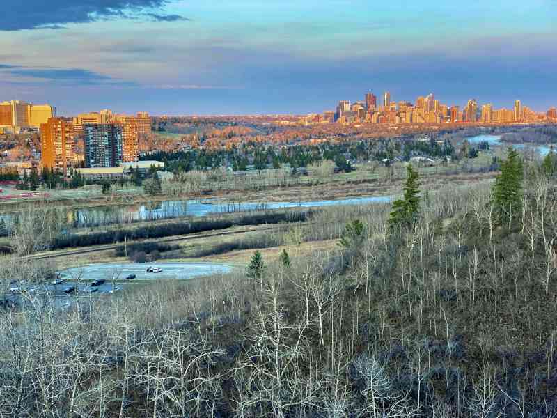 Edworthy Dog Park Lookout