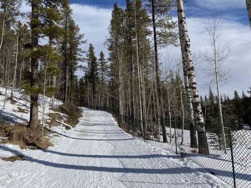 Bragg Creek-Snowshoe Hare Loop
