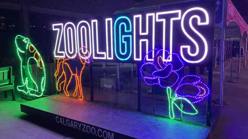 Zoo Lights
