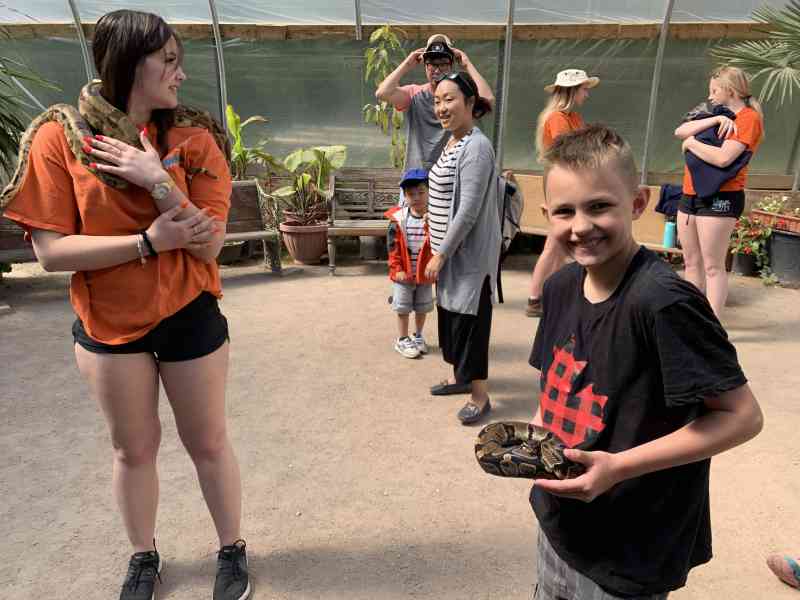 Little Reptile Queen @ Kanagroo Farm