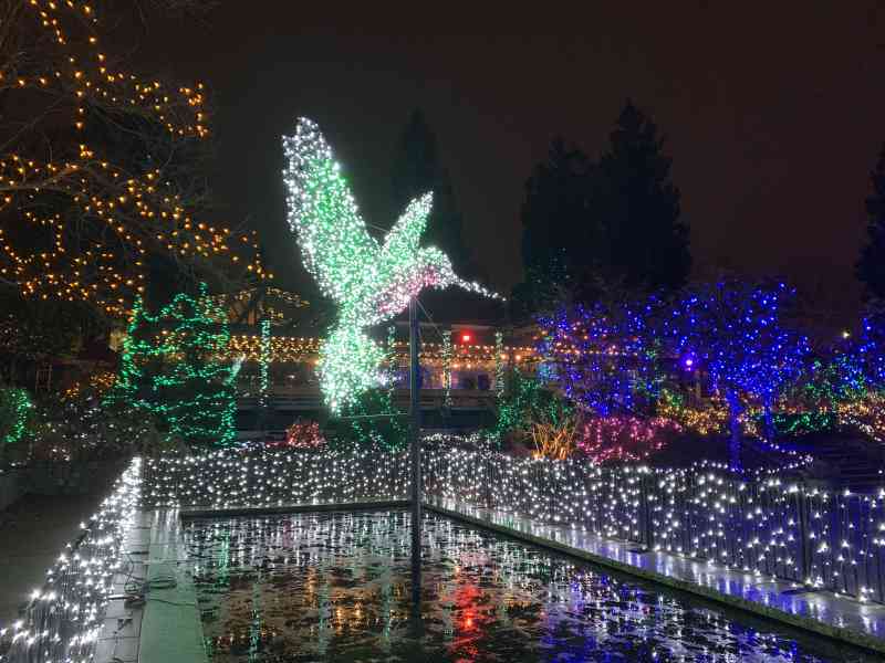 Van Dusen Gardens Xmas Lights