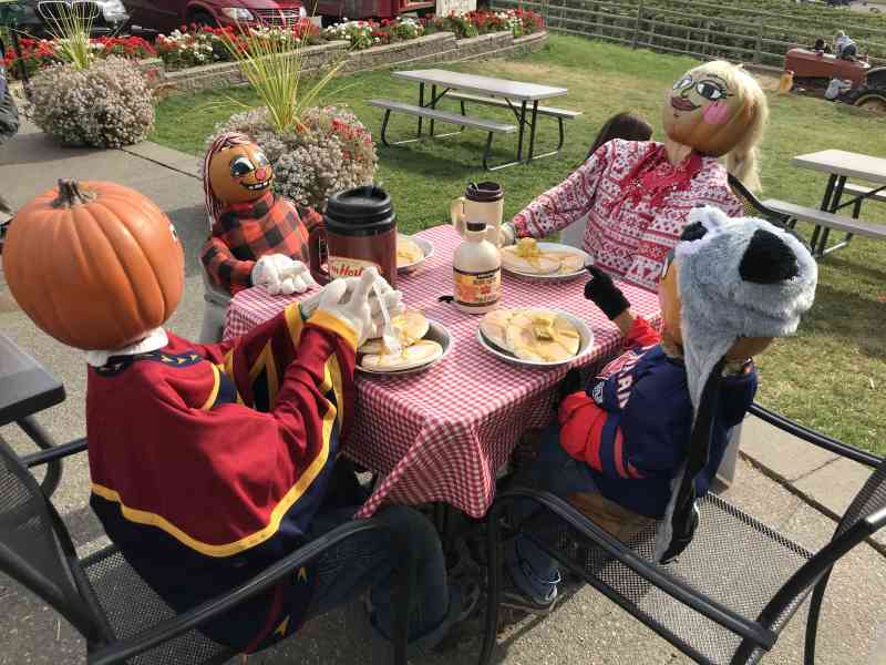 Thanksgiving & Davison Orchards Pumpkin Patch