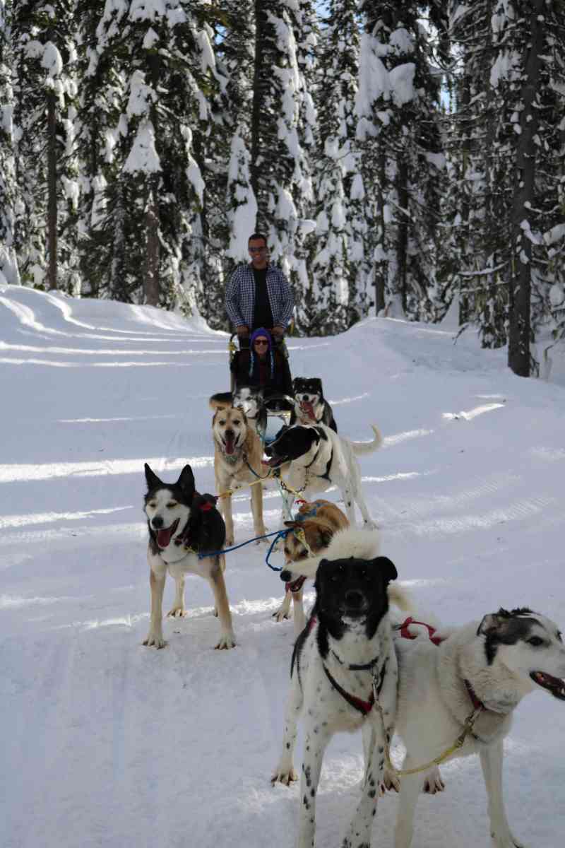 Dog Sledding & Ice Climbing