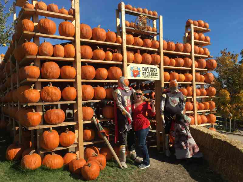 Roomie Backroads Adventure