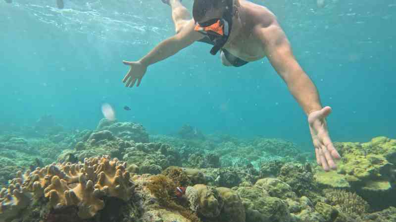 2025-12-09 08.43.30 _ GX010383 - Apo Island Day Tour