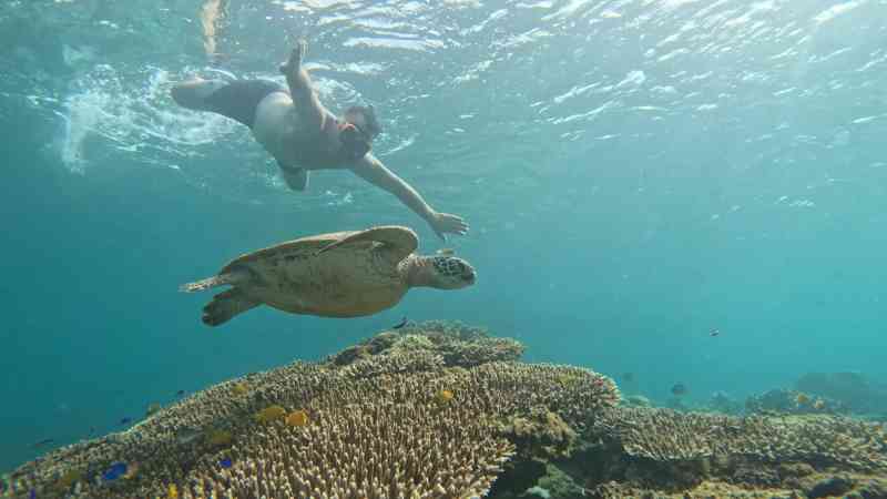 2025-12-09 08.45.08 _ GX010384 - Apo Island Day Tour