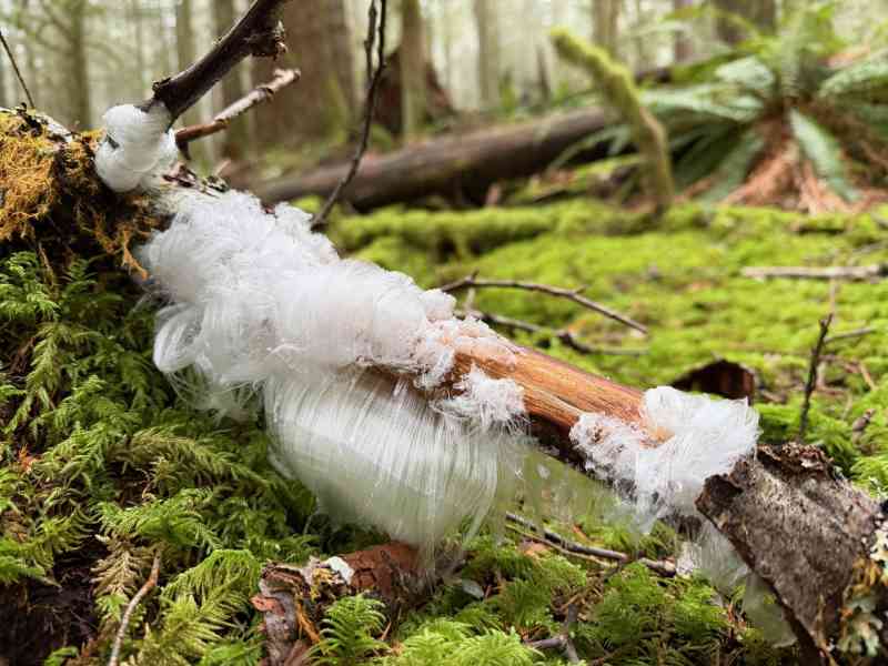 Vancouver Island & Sunshine Coast