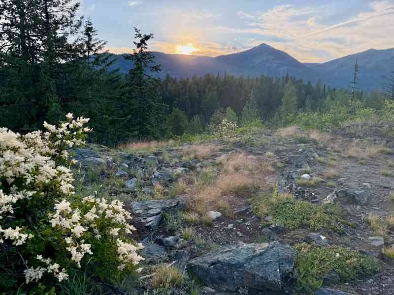 Kootenays