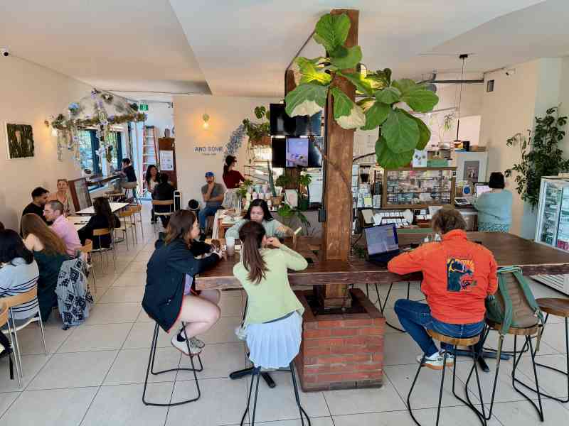 And Some Flower Cafe
