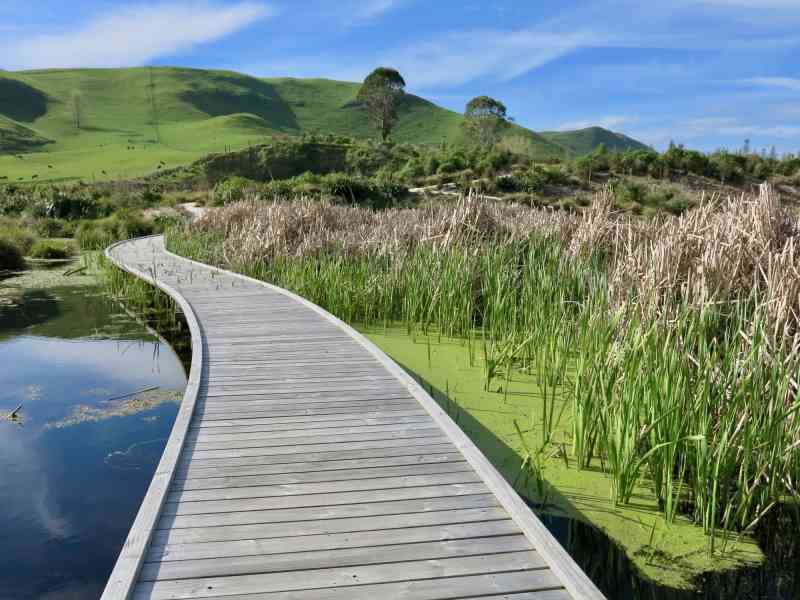 New Zealand - North Island & Nelson