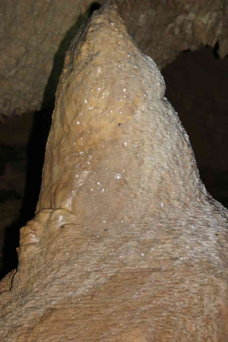 Actun Tunichil Muknal Caves Tour