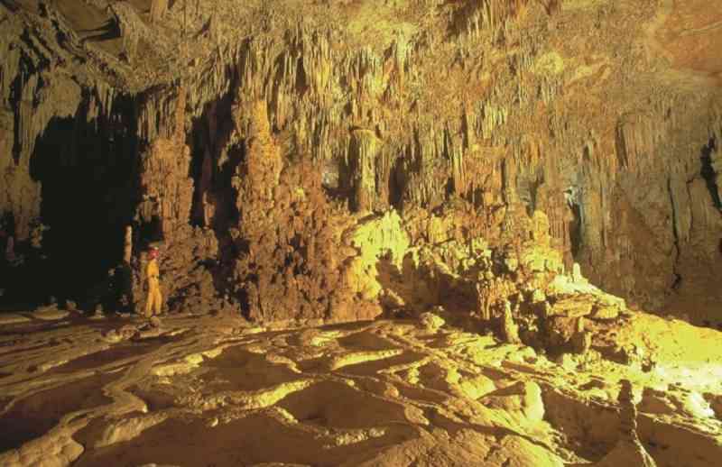 Actun Tunichil Muknal Caves Tour