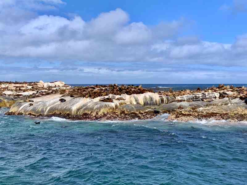 Seal Island