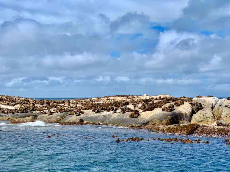 Seal Island