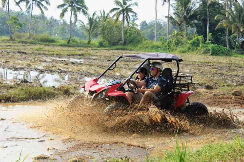 Chocolate Hills ATVing