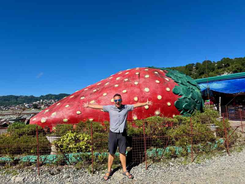 Strawberry Farm - Home of Giant Strawberry Cake