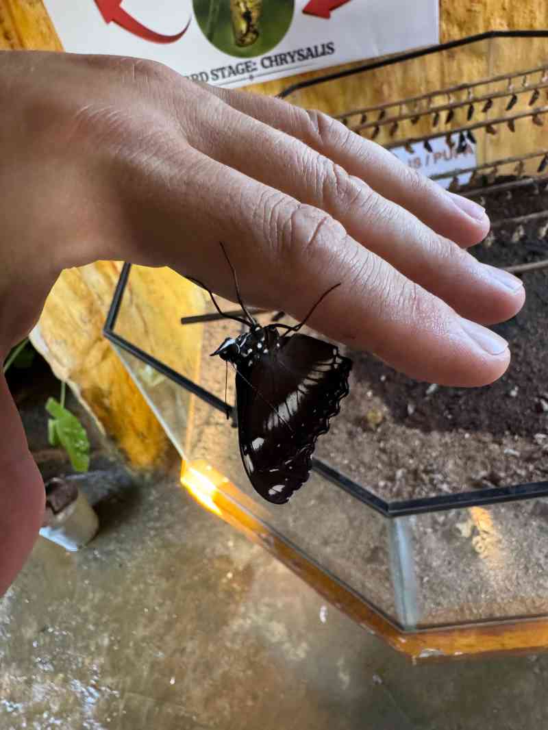 Palawan Butterfly Ecological Garden and Tribal Village