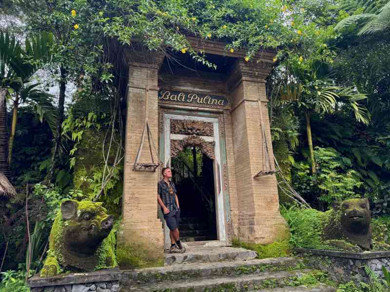 Bali Pulina Luawk Coffee