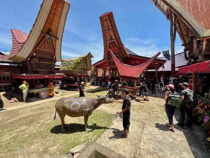 Indonesia: Komodo, Sulawesi & Raja Ampat (Part 3)