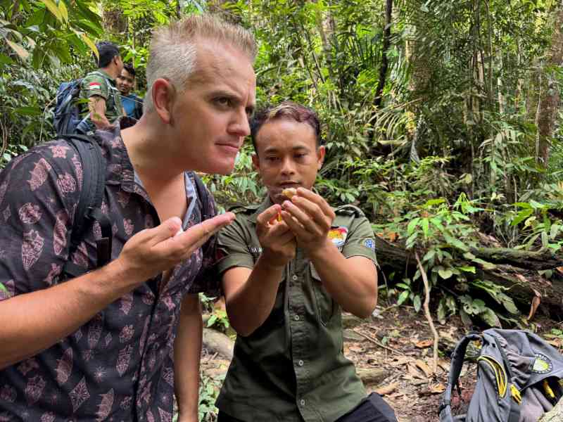 Gunung Leuser NP, Sumatra