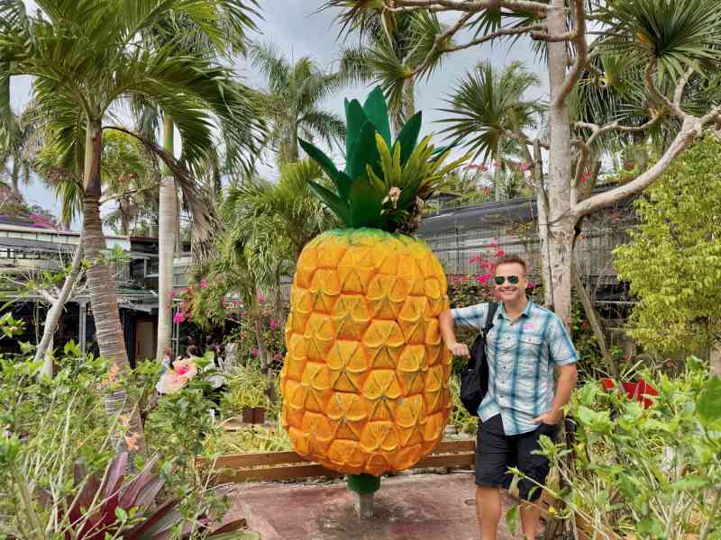 Nago Pineapple Park