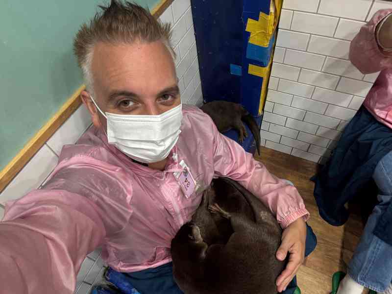 OttersFamily Otter Cafe