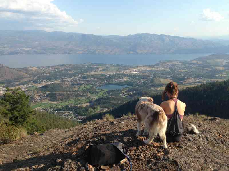 Carrot Mountain: Exterior Loop