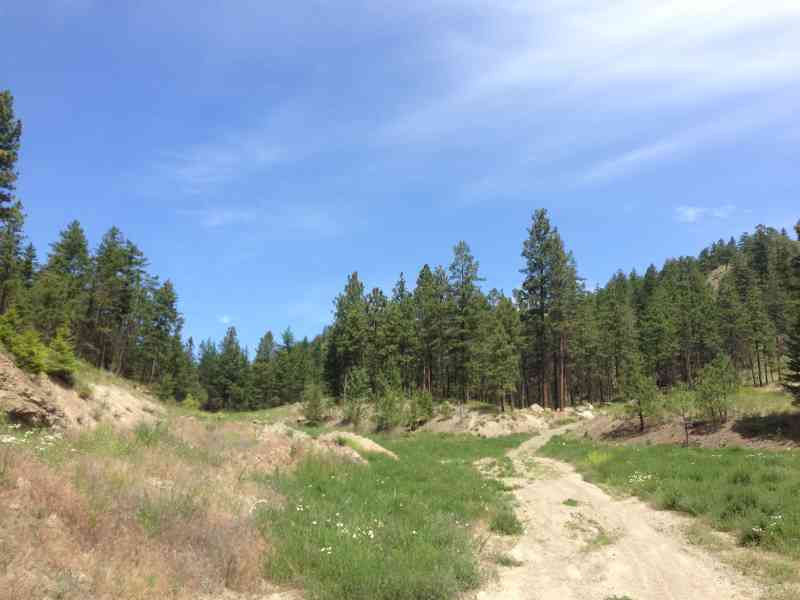 Knox: Grainger Summit Loop