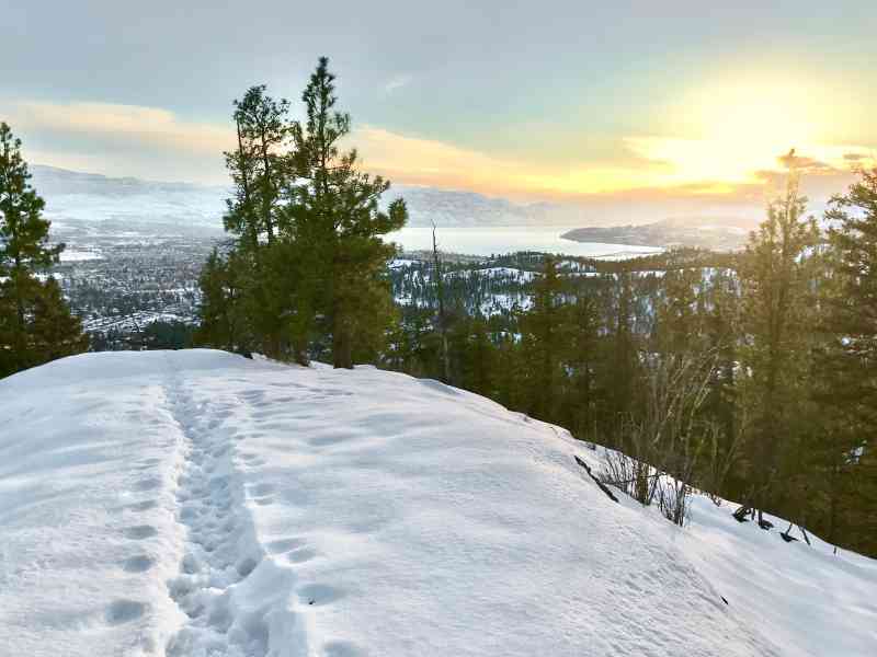 Knox: Grainger Summit Loop