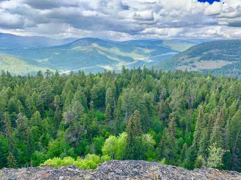Mount Law Viewpoint Loop