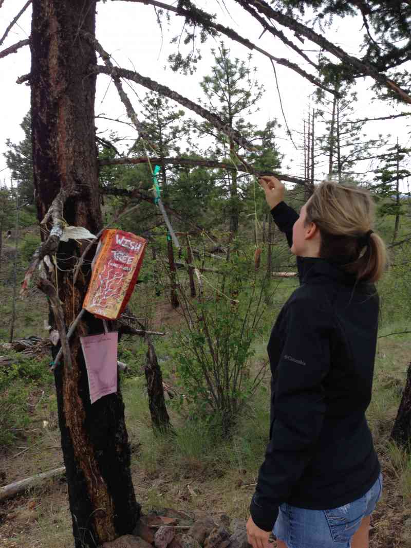 Mount Boucherie: Eain Lamont Loop