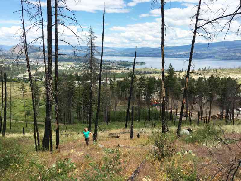 Mt. Drought: Camper Loop