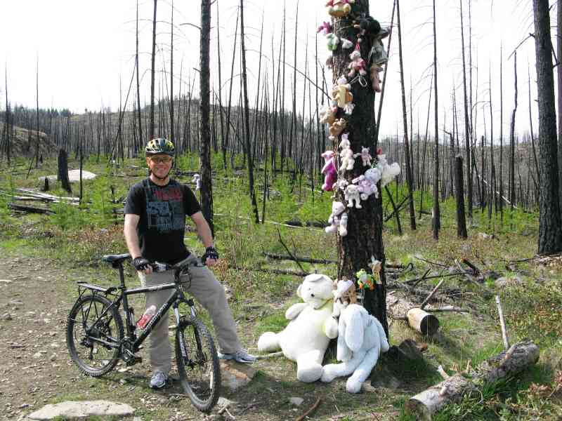 Myra Canyon: Teddy Bear Loop