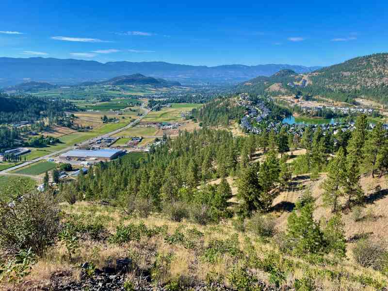 Stephens Coyote Ridge