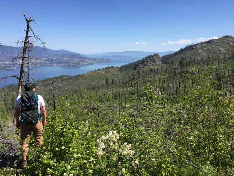 Okanagan Mountain Park: Good's Basin