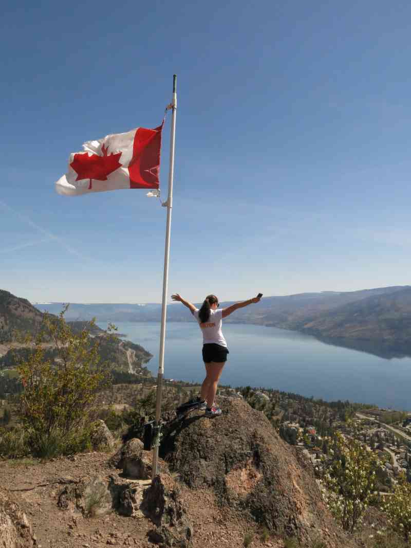 Pincushion via Trepanier