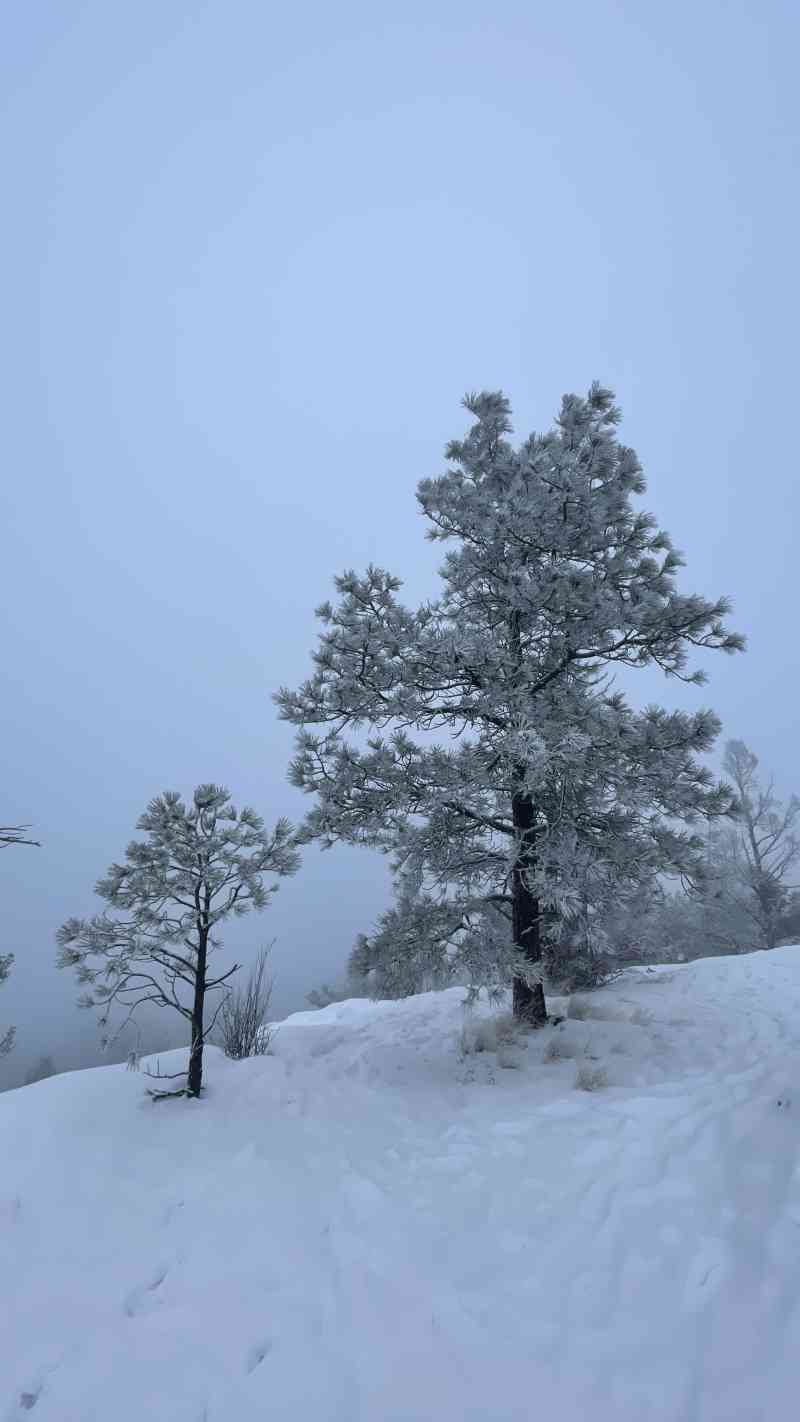 Rose Valley: Summit Loop