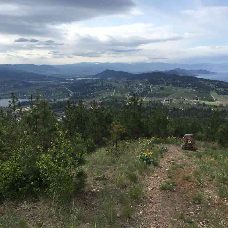 Spion Kopje: Ridgeline/Tower/Paintbrush Loop