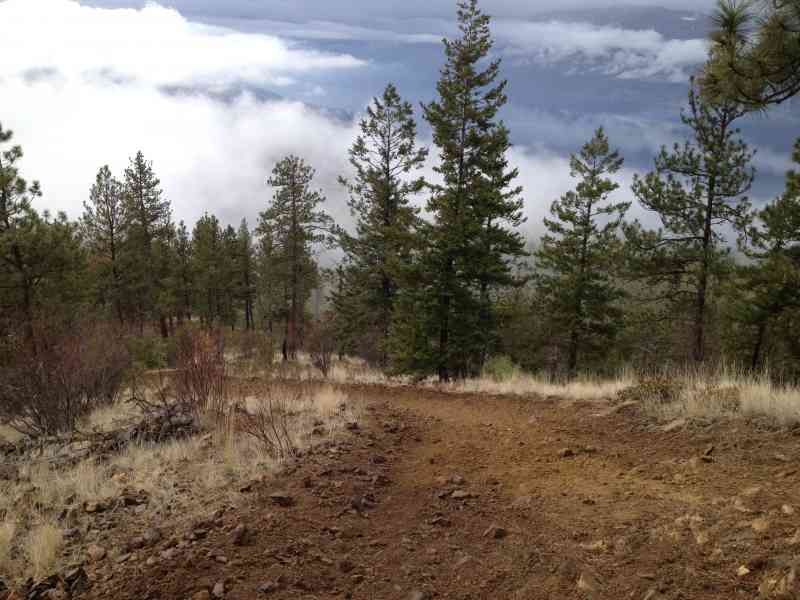 Spion Kopje: Unofficial Trail