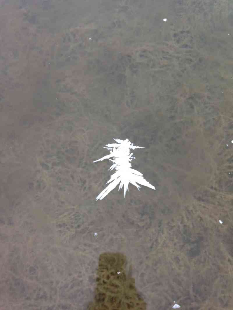 Stephens Coyote Ridge: Light Blue Lake