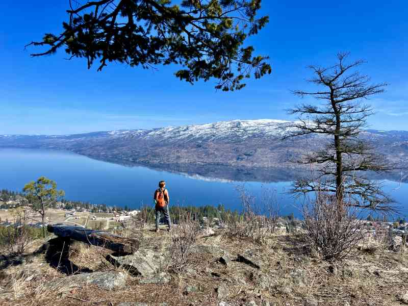 Dan White Buggy Trail